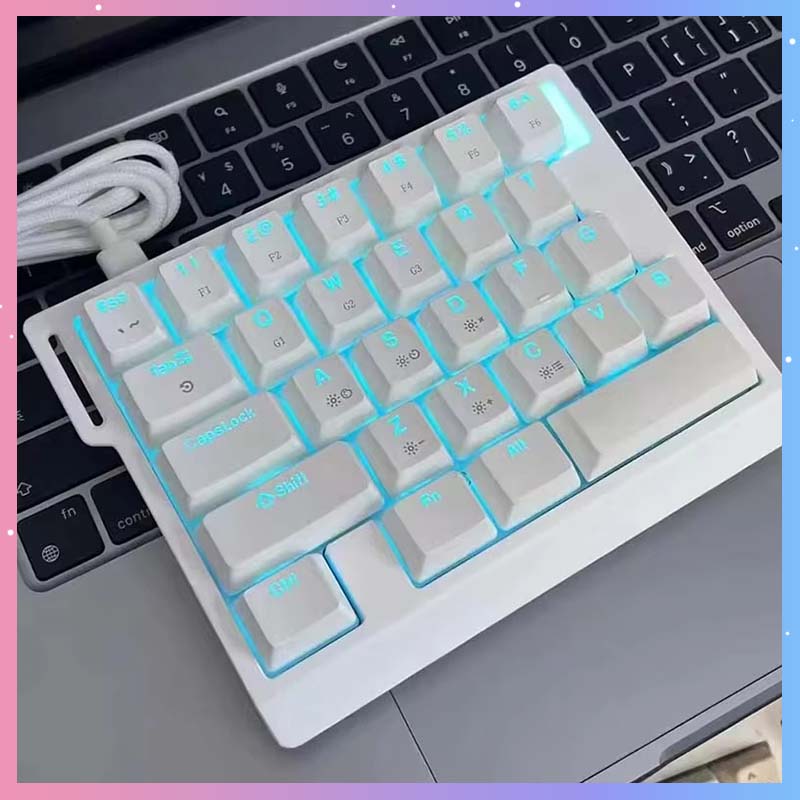 Gaming Keyboard Magnetic Switches - Tastiera Meccanica da Gaming HE30, 29